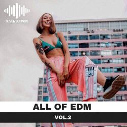 In The End(Haozi LakHouse Rmx)