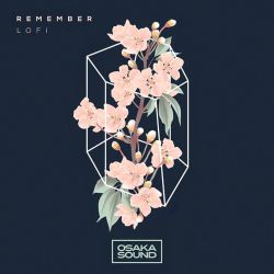 Renegade 氢弹(ToxicAw Extended Mix)