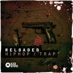 Wildcard - Nizzy X TED Remix