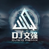 Dj文强