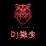 廉江DJ锋少