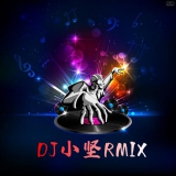 DJ小坚