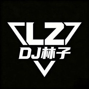 Dj林子