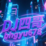 南中Dj四哥
