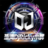 珠海DjRicky小辉