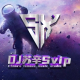 DjAn vs Dj苏辛
